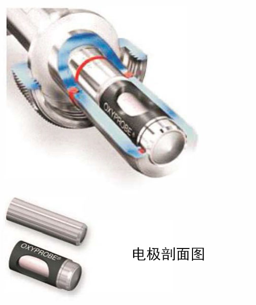 8101系列在線溶解氧電極(ppb級(jí))剖面圖